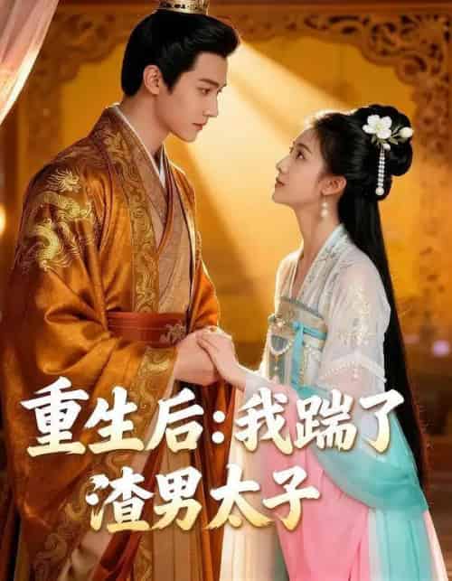 重生后我踹了太子渣男＆重生后：我踹了渣男太子（44集全）Ai-搜外项目网
