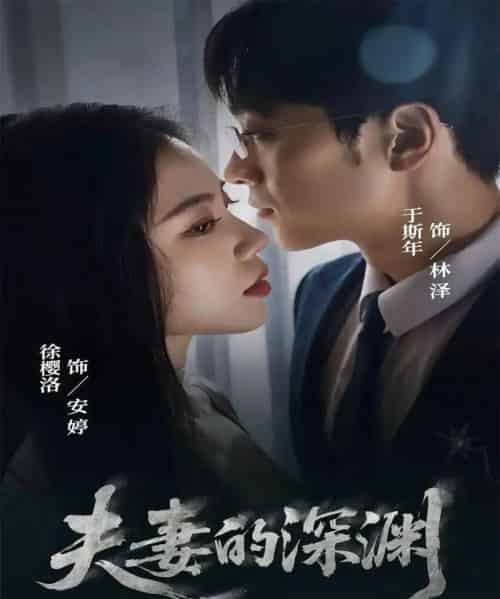 夫妻的深渊（45集全）徐樱洛＆于斯年-搜外项目网