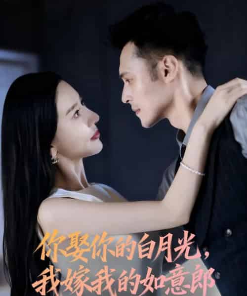 你娶你的白月光我嫁我的如意郎（68集全）张子唯＆陈孟奇-搜外项目网