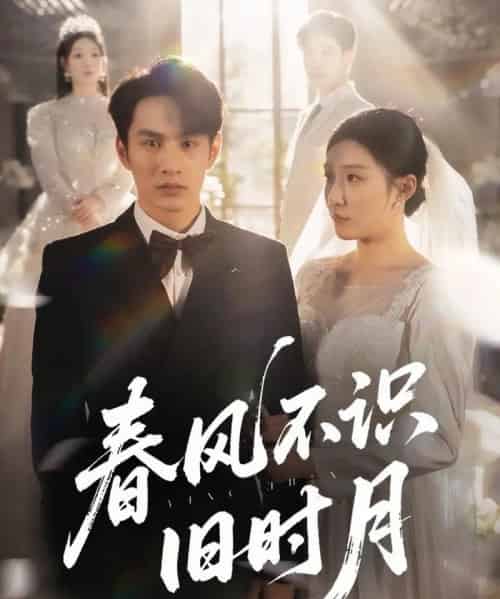 春风不识旧时月（62集）孙同钰＆黄婷婷-搜外项目网