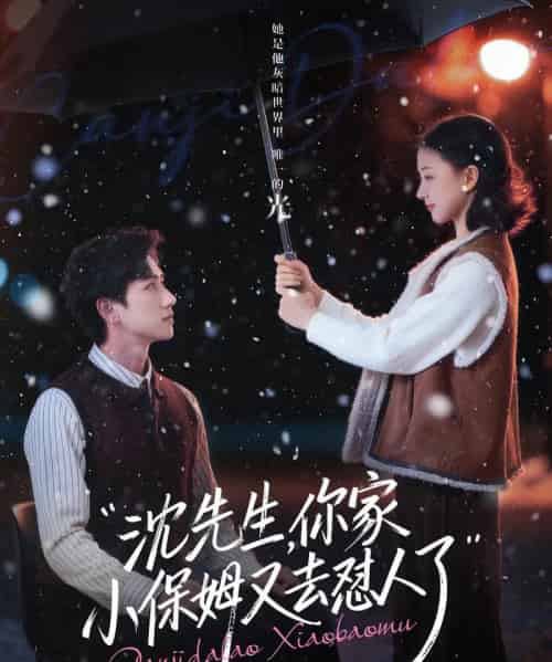 沈先生，你家小保姆又去怼人了（82集全）陈政阳＆廖银玥-搜外项目网