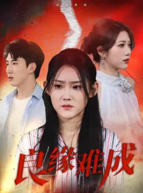 良缘难成（63集）姜恺琳-搜外项目网
