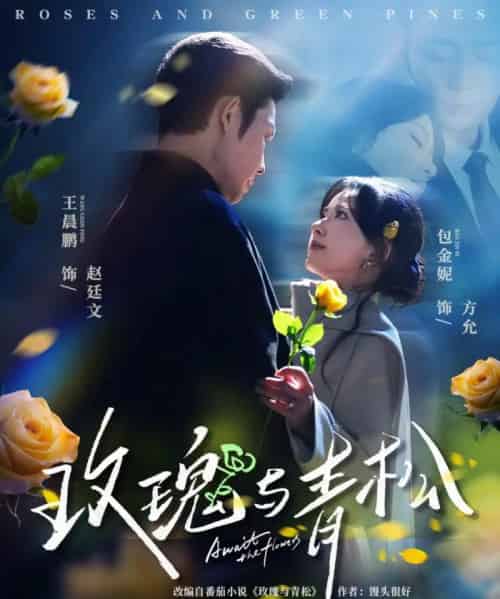 玫瑰与青松(79集全)包金妮&王晨鹏-搜外项目网