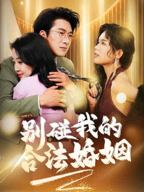 别碰我的合法婚姻&天大地大老婆最大(30集全)-搜外项目网