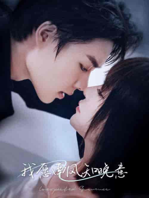 我愿南风知晚意（61集全）柯淳-搜外项目网