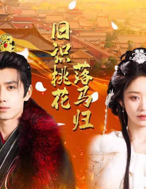 旧识桃花落马归(60集全)陈政阳&戴琪轩-搜外项目网