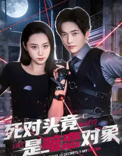 死对头竟是暗恋对象(99集全)林千仟&陈智慧-搜外项目网