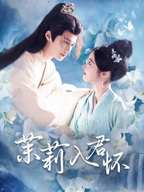茉莉入君怀（94集全）杨鹏丞＆墨凝-搜外项目网