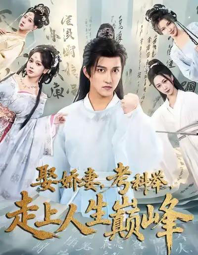娶娇妻，考科举，走上人生巅峰（80集全）陈楚洹＆蔡凯蒂-搜外项目网