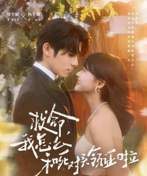 救命，我怎么和死对头领证啦＆周总，夫人她不按套路出牌（82集全）杨宇斌＆龚芳妮-搜外项目网