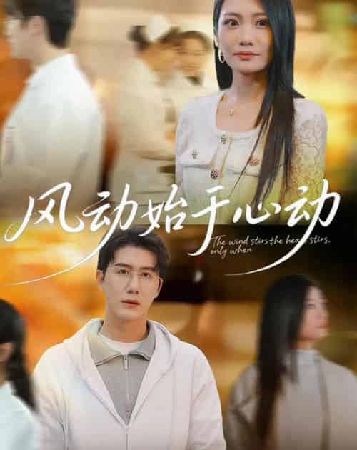 风动始于心动（81集全）李永佳＆黄靖-搜外项目网