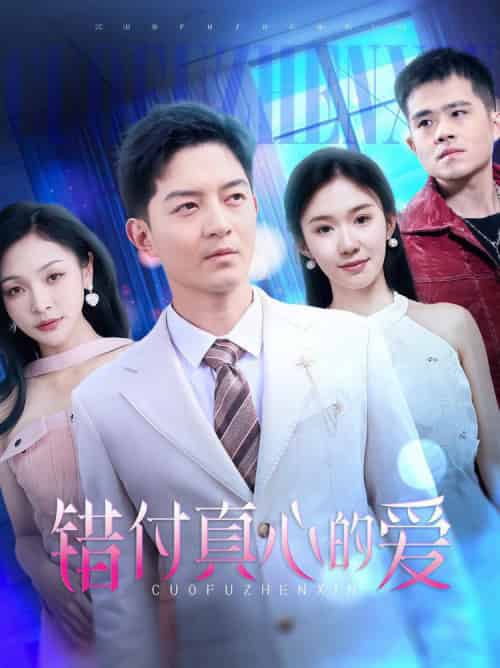 错付真心的爱（60集全）贺龙天＆袁传琪-搜外项目网