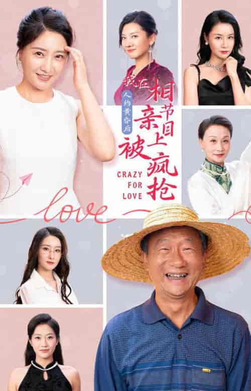 人约黄昏后，我在相亲节目上被疯抢（34集全）-搜外项目网