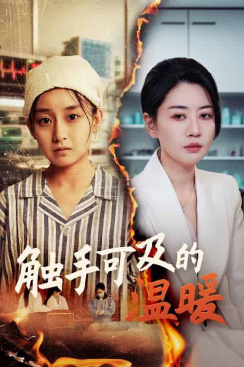 触手可及的温暖（48集全）王倩＆刘清心-搜外项目网
