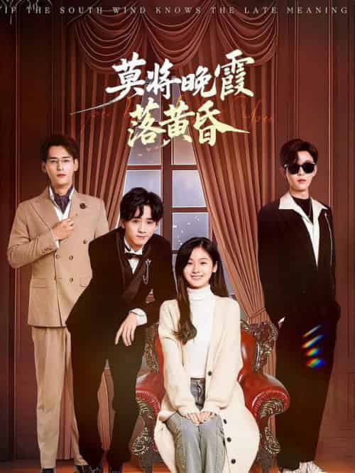 莫将晚霞落黄昏（62集全）田苗苗-搜外项目网