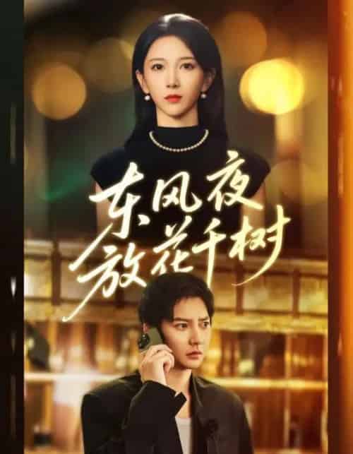 东风夜放花千树＆＆燕西误尽瑶台月（91集全）白羽＆高明君-搜外项目网