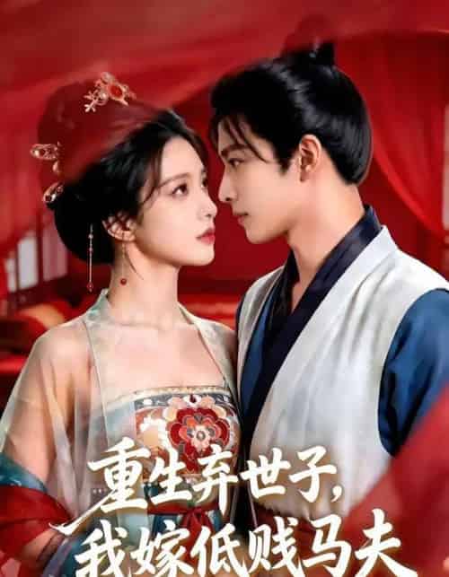 重生弃世子,我嫁低贱马夫(48集全)AI-搜外项目网