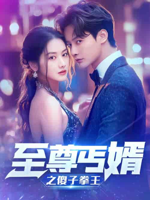 至尊傻婿之傻子拳王&傻夫甜妻(80集)张珊珊-搜外项目网