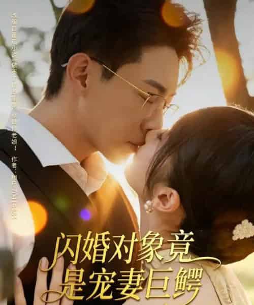 闪婚对象竟是宠妻巨鳄（74集全）陶思源＆周昭昭-搜外项目网