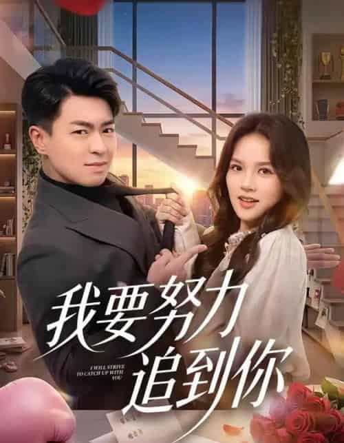 我要努力追到你（78集全）王泽绮＆陈梦楠-搜外项目网