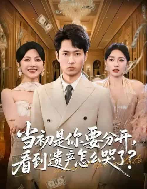 当初是你要分开，看到遗产怎么哭了？（70集全）霍俊全＆金珊＆曹瑶佳-搜外项目网