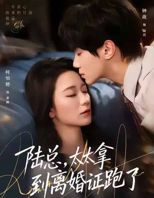 陆总，太太拿到离婚证跑了（86集全）钟政＆何依婷-搜外项目网