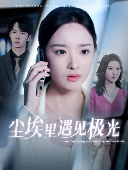 尘埃里遇见极光(30集)武帅康&夏欢亭-搜外项目网