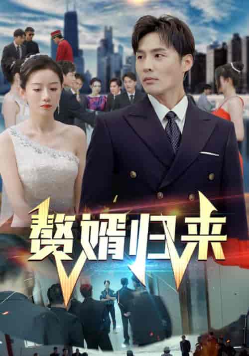 赘婿归来（101集）马铭婕-搜外项目网