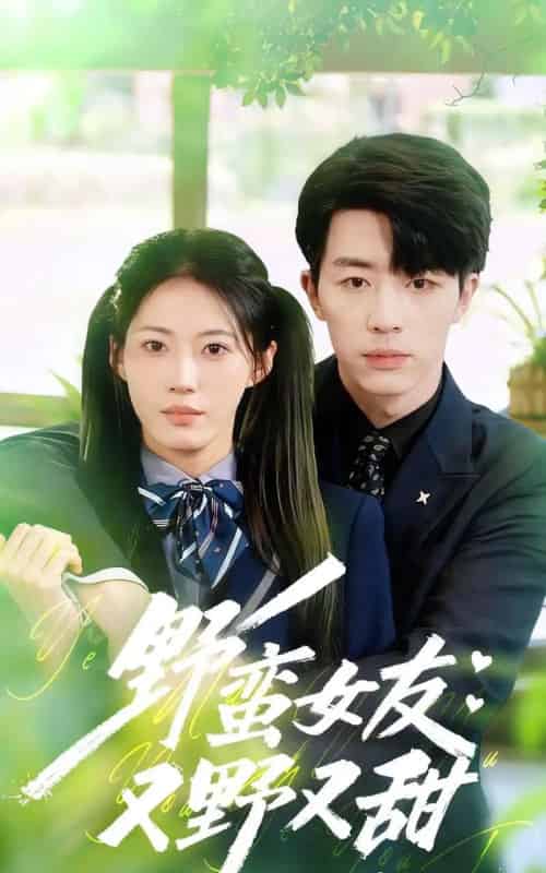 野蛮女友又野又甜（100集全）大宝＆王熳熳-搜外项目网