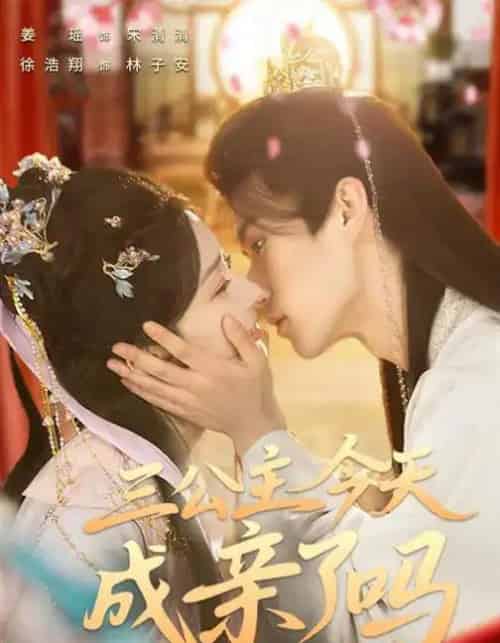 三公主今天成亲了吗（61集全）徐浩翔＆姜瑶-搜外项目网