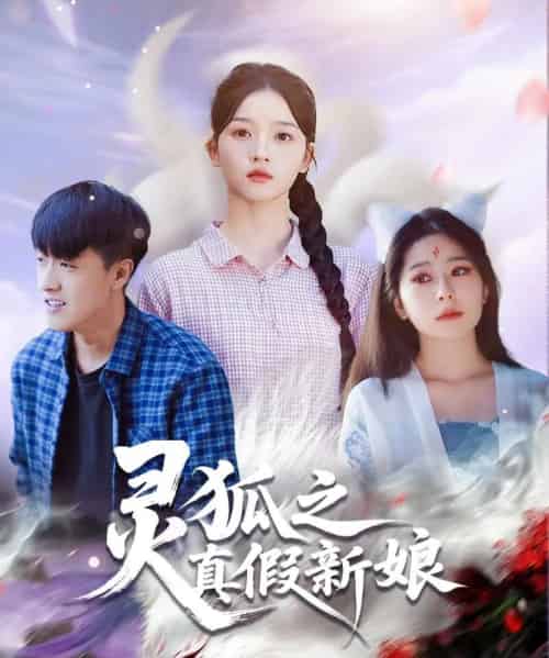 灵狐之真假新娘（69集全）冯杰＆刘苗苗-搜外项目网