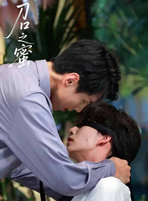 刀口之蜜（46集全）刘晏辰＆王年将成-搜外项目网