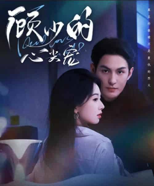 顾少的心尖宠(61集全)黄靖洲(孝太)&张紫菡-搜外项目网