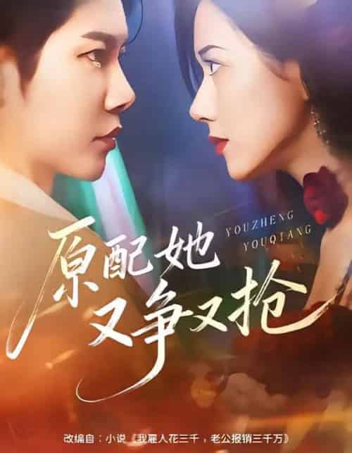 原配她又争又抢(59集全)成乔斯&辛润茜-搜外项目网