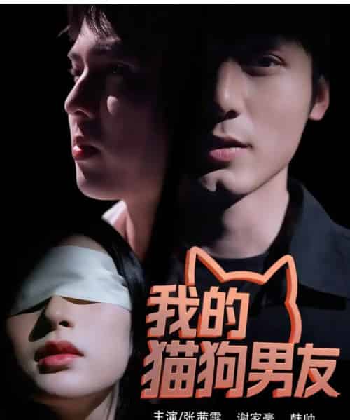 我的猫狗男友(53集)张茜雯-搜外项目网