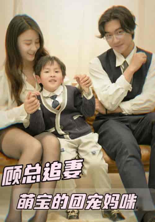 顾总追妻萌宝的团宠妈咪（100集全）顾云霆＆苏安然-搜外项目网