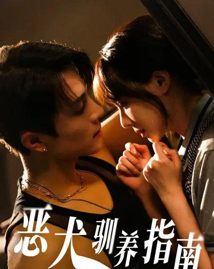 恶犬驯养指南（40集）成子太＆姚凯辰-搜外项目网