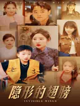 隐形的翅膀（63集）晓芸-搜外项目网