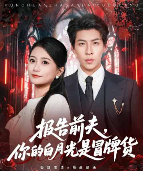 报告前夫，你的白月光是冒牌货（70集全）王为洋＆李永佳-搜外项目网