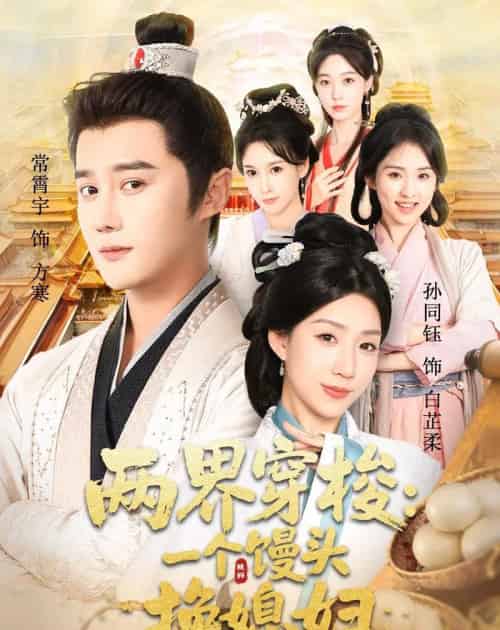 两界穿梭尽入我怀＆两界穿梭一个馒头换媳妇（71集全）常宵宇＆孙同钰-搜外项目网