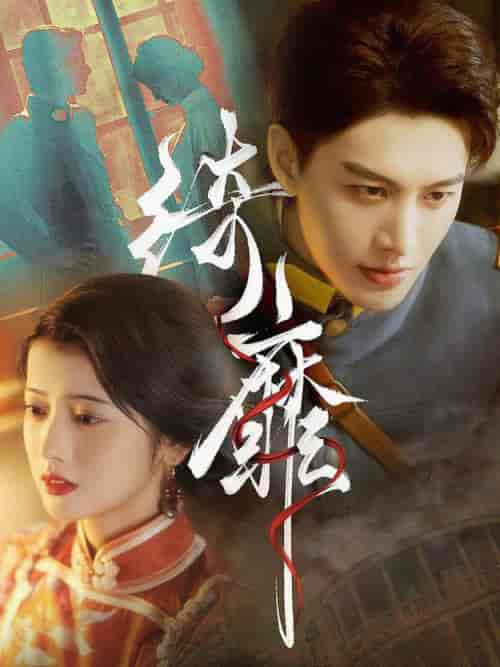 绮靡(88集全)何健麒-搜外项目网