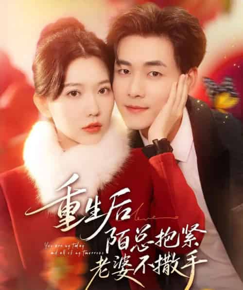 重生后陌总抱紧老婆不撒手（66集全）盛晨＆孟佳辉-搜外项目网