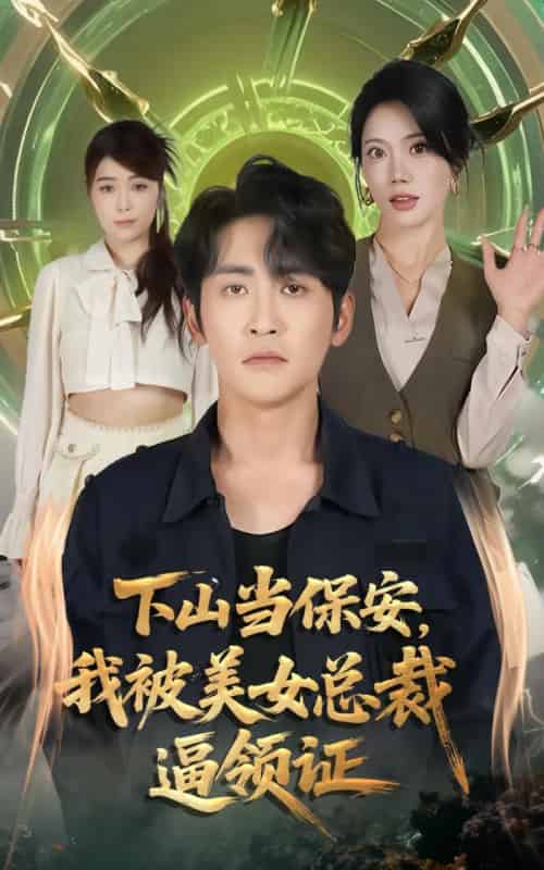 下山当保安我被美女总裁逼领证（60集全）苏文文＆高杨-搜外项目网