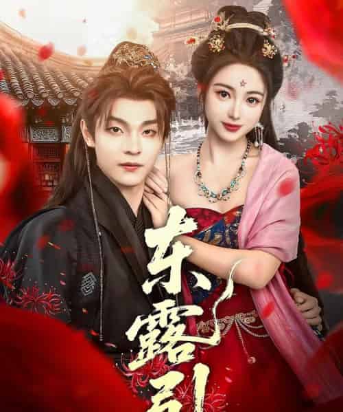 东露引（80集）段平＆耿池苏-搜外项目网