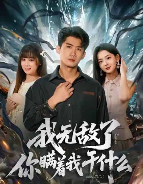 我无敌了你瞒着我干什么（72集全）苏泓奕＆张邵禾-搜外项目网