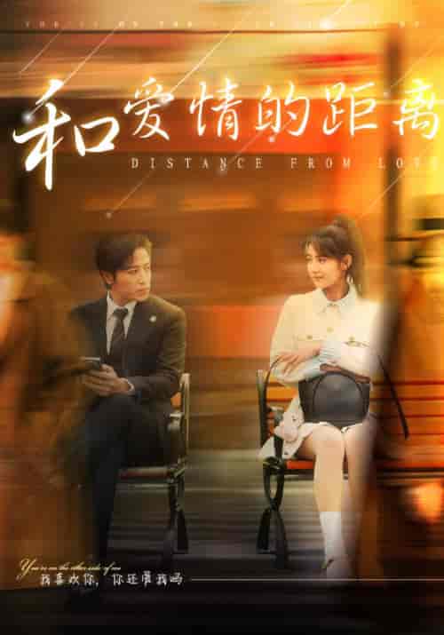和爱情的距离（53集全）季斯琰＆夏添-搜外项目网