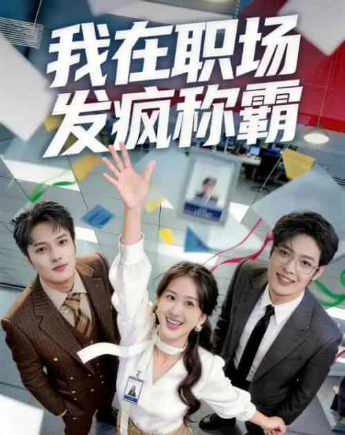 我在职场发疯称霸（70集全）赵怡婷＆侯东-搜外项目网
