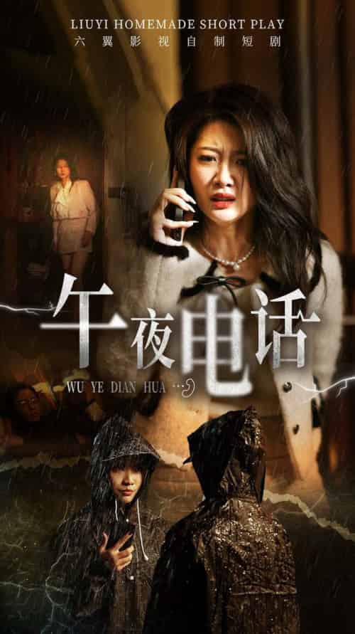 午夜电话（31集全）刘耘彤-搜外项目网