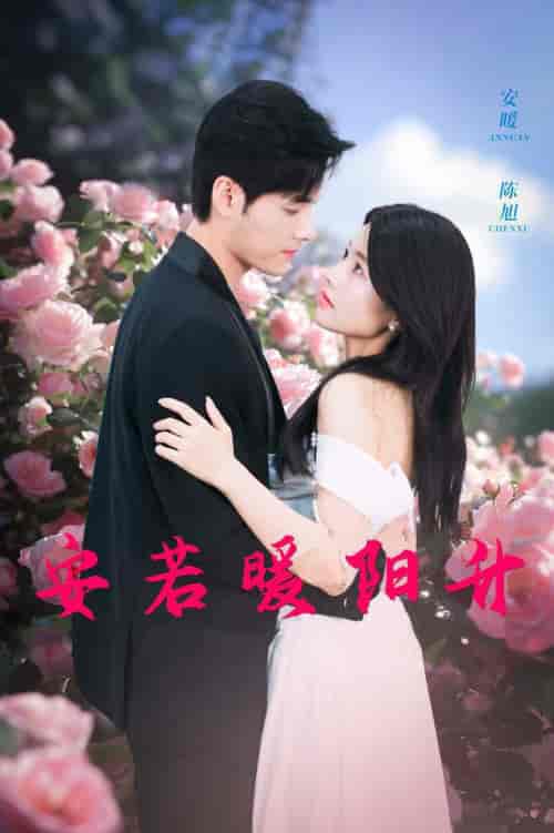 安若暖阳升（40集全）-搜外项目网