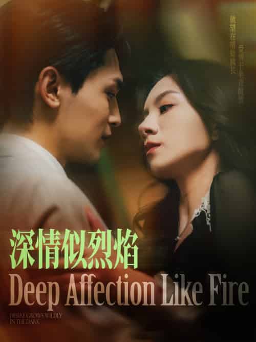 深情似烈焰（74集）周航＆庄芈僮-搜外项目网